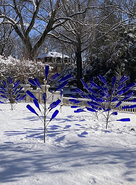 The Bottle Tree Installation