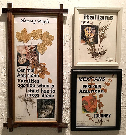 Central Americans Mexicans Italians Invasive Species