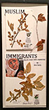 Muslim Immigrants Invasive Species Tatarian Honeysuckle Muslim Immigrants Invasive Species Tatarian Honeysuckle