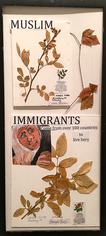 Muslim Immigrants Invasive Species Tatarian Honeysuckle